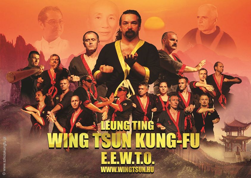 wing tsun kung fu